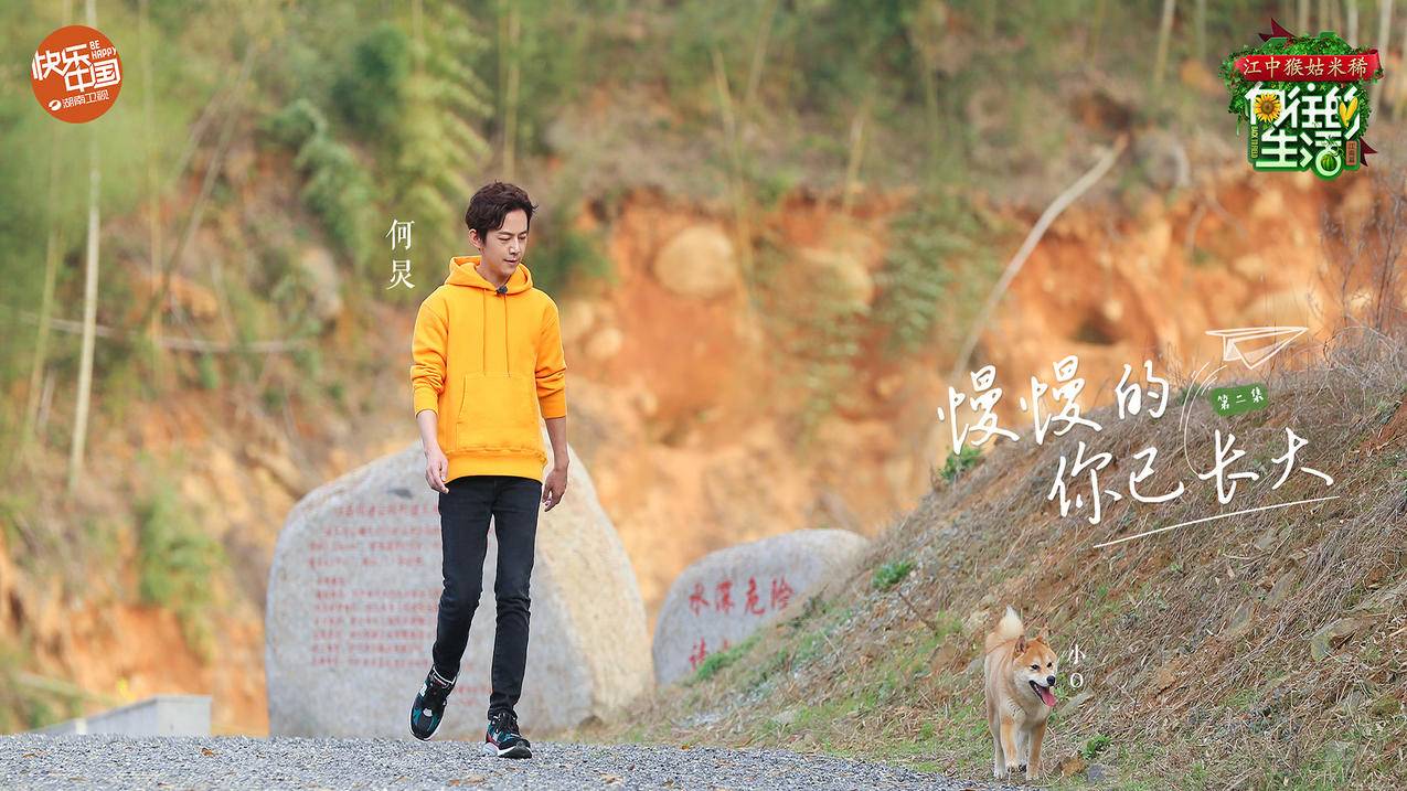 抖音自助下单低价涨|网红自助下单|快手在线业务全网最低价
